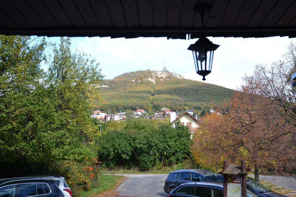 Penzion Artin Nitra Exteriör bild